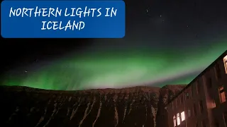 ICELAND NORTHERN LIGHTS || AURORA BOREALES || Steff Ice Official