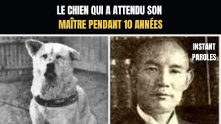 Voici le chien le plus fidèle au monde !