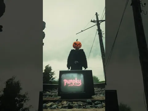 ESTE TOY YO "LA CALABAZA"  🎃 #lacalabaza #gatos #viral