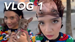 VLOG 1 | Llevo a mi PERRO a la PLAYA por primera vez y ESTO PASA 😦