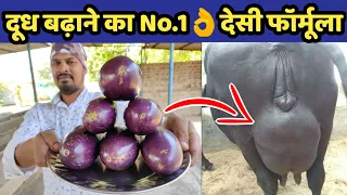 गाय/भैंस का दूध बढ़ाने वाला No.1👌देसी फॉर्मूला|Doodh bdhane ka tarika|How to increse cow/buffalo milk
