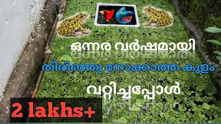 fish tank cleaning after long time | pond cleaning | guppy pond | how to clean fish tank  mixedguppy