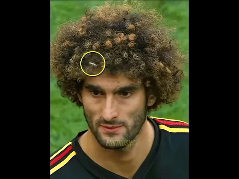 Players vs Insects + BALLKID