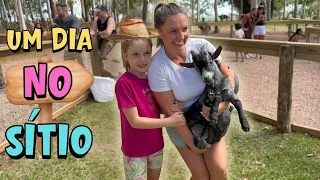Um Dia no Sítio em Família | Muita diversão e aventuras!