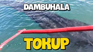 AMAZING  MONSTER TOKUP |