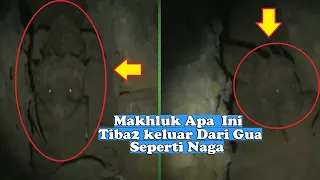 Makhluk Apa ini Keluar Dari Gua??  Penampakan Makhluk Misterius Mirip Naga