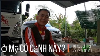 Sống ở VN Thế Này Đi Mỹ Làm Gì Cho Mệt Thân Vậy Trời!