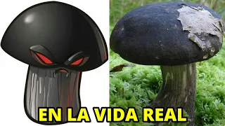 Así se ven las PLANTAS de Plants Vs Zombies En la VIDA REAL