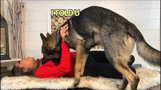 Playing "Dead" In Front Of My Dogs