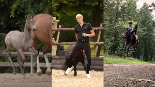 Horse Videos That Went Viral! #6