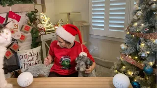 Christmas Eve All Signs Check In. Mandatory Dress Code: Pajamas and Relax! (LIVE EVENT❤️)