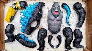 Godzilla x Kong: Assemble The New Empire Kaiju