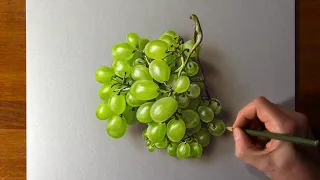 Drawing grapes in 6 hours without stopping