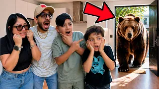 UN OSO ENTRA A LA CASA NUEVA | Kori Vlogs
