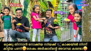 ഒറ്റക്കു തിന്നാൻ നോക്കിയ സിയക്ക് 🦅കാക്കയിൽ നിന്ന് കിട്ടിയ പണി🫢ശേഷം അർഷാദിന്റെ അവസ്ഥ കണ്ടോ😝