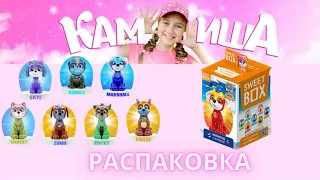 Sweet Box распаковка коллекции «Щенячий патруль»  #распаковка #щенячий_патруль #щенячийпатруль