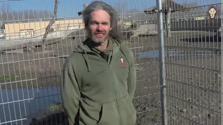 Tréning Hyeny škvrnitej na veterinárne úkony.