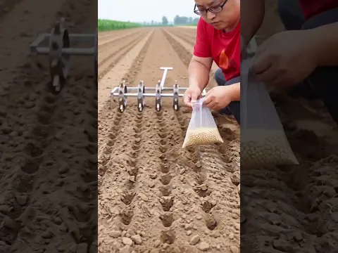 Smart Seed Planting Technique 🌱🚜 Amazing Farming Skills for a Perfect Harvest Every Time!!