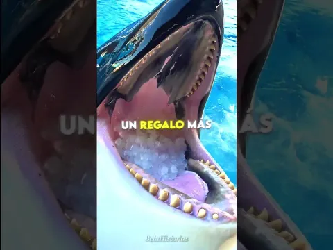 La Ballena Más Inteligente 🐋💙