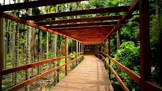 Beireng Village, located in Jiaji Town, Qionghai City, Hainan,