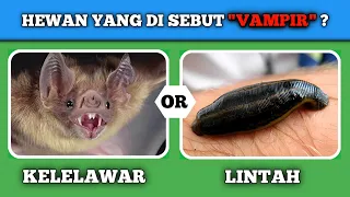 APAKAH KAMU BERANI❓  AYO TEBAK "20" PERTANYAAN SERU TENTANG HEWAN‼️ # siapakahaku? #tebaktebakan