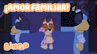 Momentos de Amor Familiar | Bingo y Bluey Recopilación | Bingo - Español Canal Oficial