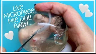 Live MicroPreemie birth! Silicone doll, silicone doll birth, en caul birth, live birth