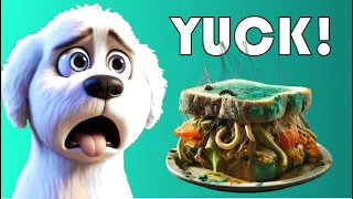 Puppy Eats The Most Disgusting Sandwich Ever...What Happens Next?