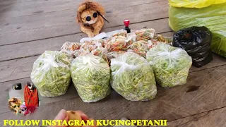 KUMPULAN VIDIO KECERDASAN KUCING PETANI & KOOPERATIF DALAM PEMBUATAN VIDIO BERIKLAN GANDA