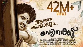 Aadana kandaalum Video Song | Vedikkettu Movie Song | Vishnu Unnikrishnan | Bibin George |