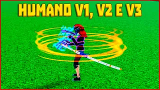 Como despertar fácil RAÇA HUMANO V1, V2 e V3 no Blox Fruits do Roblox