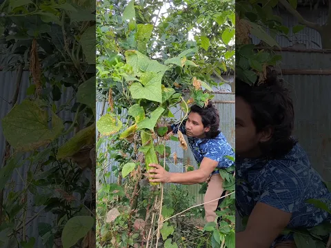 মেঘলা দিনের রান্না#shorts