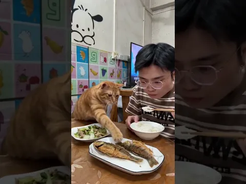 Clever cats are fearless when it comes to food! #ai #cat  #funny   #pets