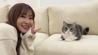 指原さんが遊びに来たら人見知りなはずの猫がまさかの展開になったw