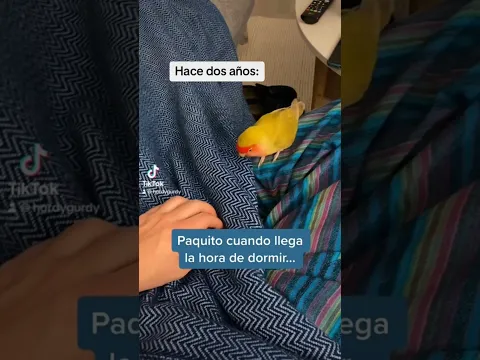 Paquito a la hora de dormir, antes y ahora… 😅
