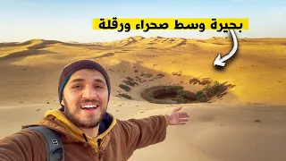 Algerian Sahara - Ouargla 🇩🇿 الكثير من الجزائريين لا يعرفون هذه البحيرة وسط صحراء ورقلة 😍