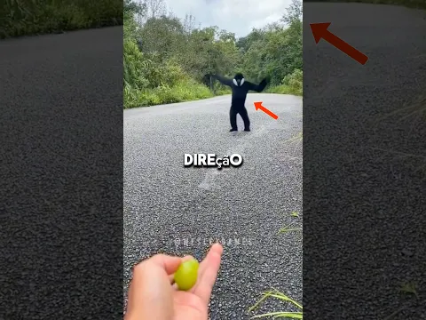 😍 ELE NÃO VAI TE FAZER MAL !