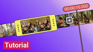 How to Add Media