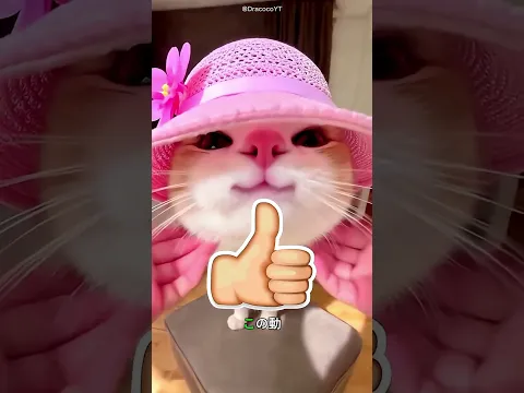ベッドの下の正体に全員が驚いた！😱 #viral #shorts