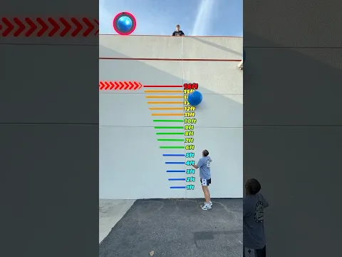 Which Ball Bounces The Highest!?
