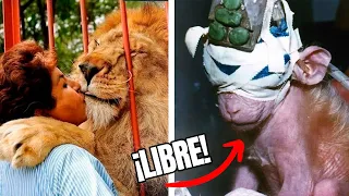 5 Historias más ESTREMECEDORAS entre ANIMALES y HUMANOS