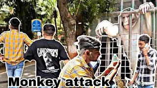 monkey ne yee kya kr diya 😭