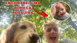 PROCURANDO COISAS ESTRANHAS NA FLORESTA