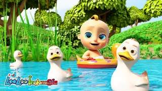 Lima bebek kecil - Five Little Duck | Lagu Anak Kompilasi Indonesia - LooLoo Indonesia
