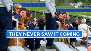 The Most Wholesome Moments That Changed Everyone's Day