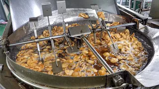 평소에 보기힘든 생생한 현장! 역대급 식품 공장 대량 생산 BEST8 몰아보기 / Amazing Korean Food Factory BEST8 / korean street food