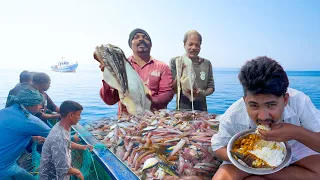 Amazing 🤩 Tons Of Big Big Squids🦑 Caught In Single Day | Lunch Special Fish Fry & Squid Masala