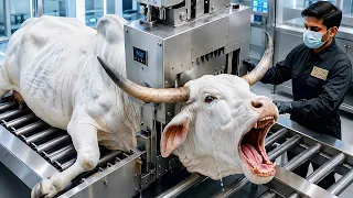 Inside the Amazing Bull Horn Factory | Complete White Grey Brahman Bull Horn Processing