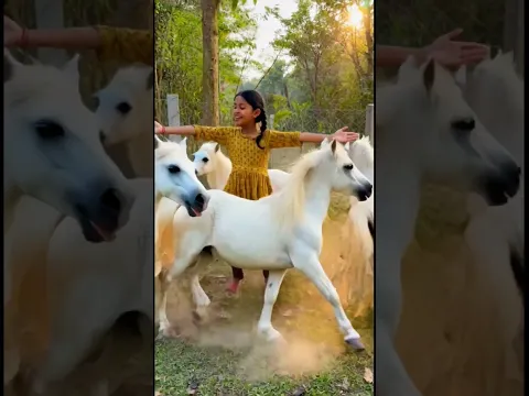 All brother and sis showing there Fictional Pet Animal 🐈🐴🦕#animal