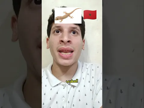 اختلاف ثقافات عند العرب😂ج24